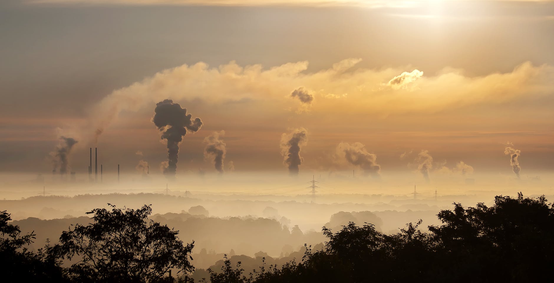 Why Does Carbon Emission Matter In Climate Change: Things You Need to Know